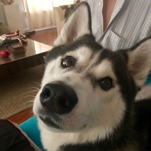 Meet your Posher, Erica